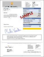 Dummy Invoice